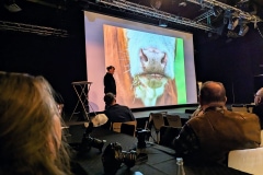 Foto: Nicklas Johansson