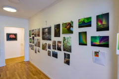 Foto: Pavel Vetešník