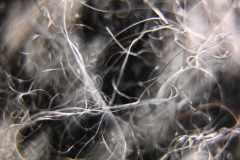 Gunnel Karlsson