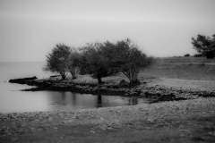 Gunnel K