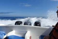 250902-gunnel-04