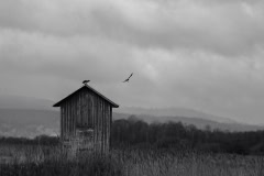 31_Langtan_Anneli-Sanden_Lekebergs-Fotoforening