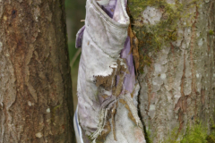 B_Skon_Inga-Lill-Ekblom_Lekebergs-Fotoforening-NBF26